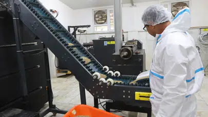 Can Dostlar Mutlu, Muğla Örnek Oluyor: 42 Ton Mama Üretildi