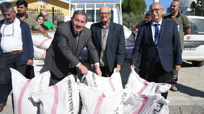 Milas Belediyesi’nden Ücretsiz Buğday Tohumu
