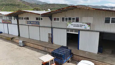 Yeni Şarap Tesisiyle Yeşilüzümlü’de Markalı Üretim Yolunda