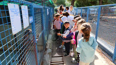 Bodrum Belediyesi Sokaklardaki Dostlarının Yanında