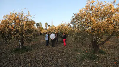 MUPA’dan Çarpıcı Rapor: Muğla’da Her 4 Çiftçiden Biri Mesleği Bırakmayı Düşünüyor