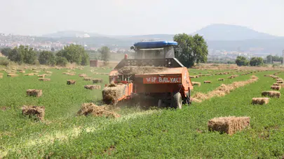 Muğla Büyükşehir’den Üreticiye Ücretsiz Tohum Desteği