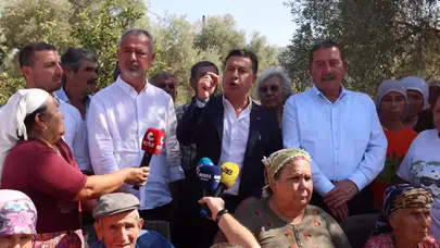 Ahmet Aras’tan Akbelen’de Zeytin Kıyımına Sert Tepki: “Topraklarımıza Dokunamazsınız Kardeşim!”