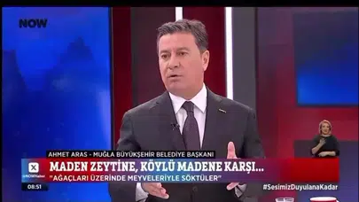 Başkan Aras’tan Akbelen çıkışı: “Üzerinde zeytiniyle ağaçlar söküldü, üzerinde meyvesiyle bir ağacı sökemezsiniz”