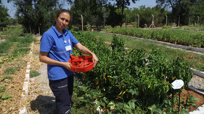 980 Çeşit Ata Tohumu Koruma Altında! 2026’da 4 Milyon Yerel Tohum Dağıtılacak