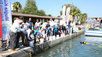 Milas Boğaziçi’nde 160 Bin Yavru Balık Denize Bırakıldı