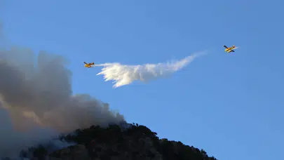 Muğla’da Orman Yangınlarında 2  Şüpheli Gözaltında