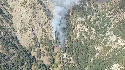 Otmanlar’da orman yangını çıktı