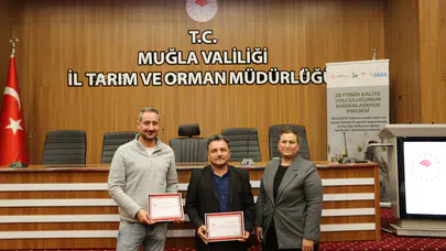 86 Başvurudan 184’e! Muğla Zeytinyağında Rekor Katılım ve Kalite Yarışı