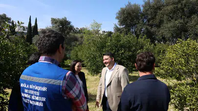 Bodrum Mandalini İçin Kritik Eğitim: Üreticilere Budama Anlatıldı