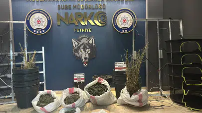 Muğla'da Narkotik Operasyonu: Villayı Sera Gibi Kullanmışlar!