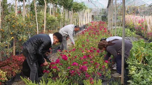 28 Milyon Adetlik Dev Üretim Hacmi…Büyükşehir’den Yerel Kalkınmaya Güçlü Katkı