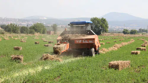 Muğla Büyükşehir’den Üreticiye Ücretsiz Tohum Desteği