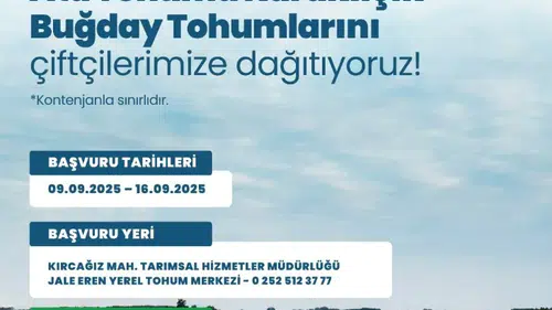 Toprağa Umut Seriliyor: Milas’ta Karakılçık Buğdayı Desteği