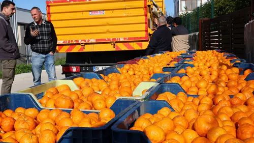 Bodrum Mandalini Türkiye’nin Dört Bir Yanına Ulaşıyor