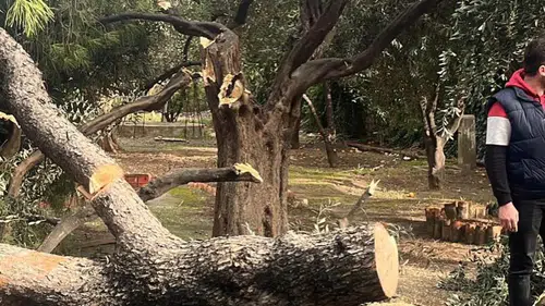 Fırtına Bir Anda Bastırdı… Milas Belediyesi Alarm Verdi