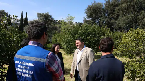 Bodrum Mandalini İçin Kritik Eğitim: Üreticilere Budama Anlatıldı