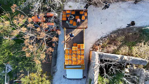 Bodrum Mandalini Ekonomiye 5 Milyon TL Kazandırdı