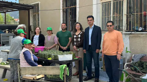 Sadece Bir Turşu Değil! Datça’dan Dünyaya Uzanan Başarı Hikâyesi