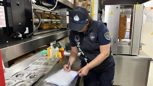 Hijyen, Fiyat ve Ruhsat Denetimi: Bodrum’da 15 İşletmeye Ceza