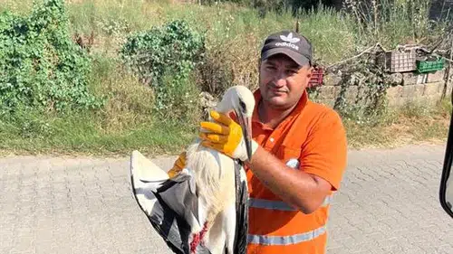 Görevi Başındayken Fark Etti, Yaralı Leyleğin Hayatını Kurtardı