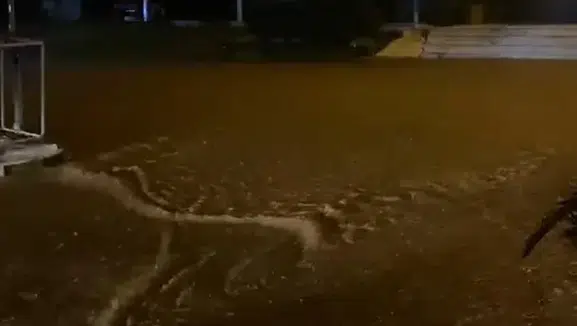 Muğla’da etkilim yağış afete dönüştü! Sokaklar göle döndü, evleri su bastı