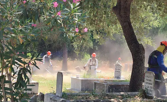 Muğla Mezarlıklarında Temizlik Sürüyor, Yakacak Desteği Devam Ediyor