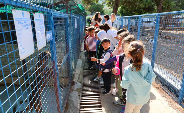 Bodrum Belediyesi Sokaklardaki Dostlarının Yanında