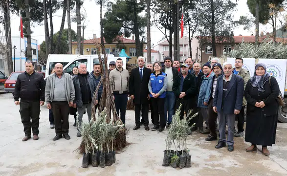 Büyükşehir’den Ula’da Üreticiye Zeytin ve Ceviz Fidanı