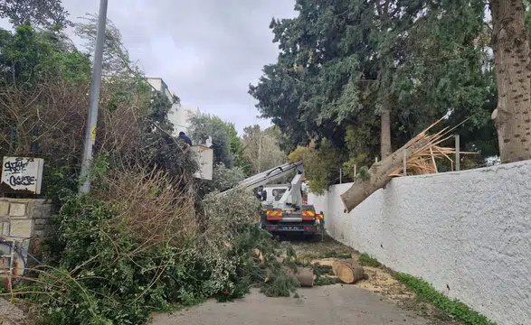 Gece Boyu Alarm! Bodrum’da Lodos Seferberliği