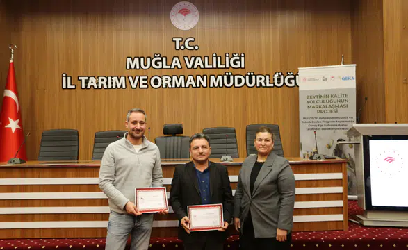 86 Başvurudan 184’e! Muğla Zeytinyağında Rekor Katılım ve Kalite Yarışı