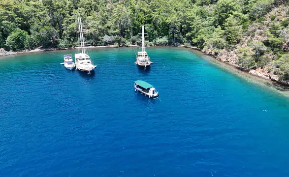 Kıyılar Ranta Açılmadı: Büyükşehir’in Davasında Danıştay’dan Yürütmeyi Durdurma