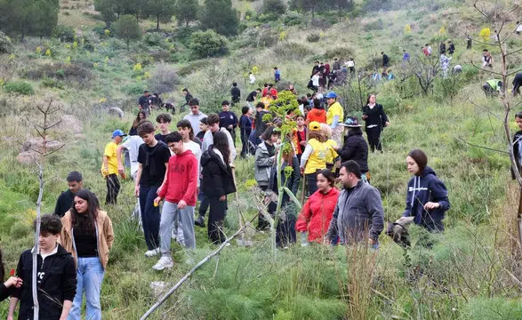 Bodrum’da Doğa İçin El Ele! Yanan Orman Yeniden Hayat Buluyor