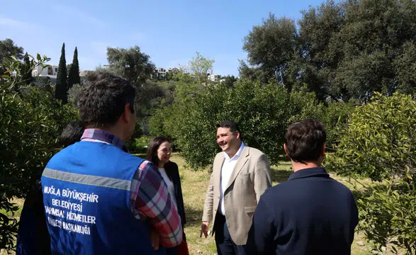 Bodrum Mandalini İçin Kritik Eğitim: Üreticilere Budama Anlatıldı