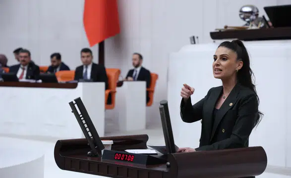 CHP’li Gizem Özcan’dan Akbelen Tepkisi