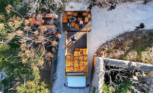 Bodrum Mandalini Ekonomiye 5 Milyon TL Kazandırdı