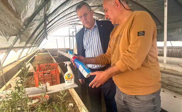 Fethiye Zeytinyağı İçin Tescil Süreci Başladı