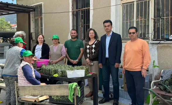 Sadece Bir Turşu Değil! Datça’dan Dünyaya Uzanan Başarı Hikâyesi