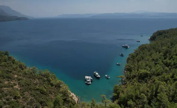 288 Dava ile Doğa Savunması! Muğla’da Hukuki Seferberlik