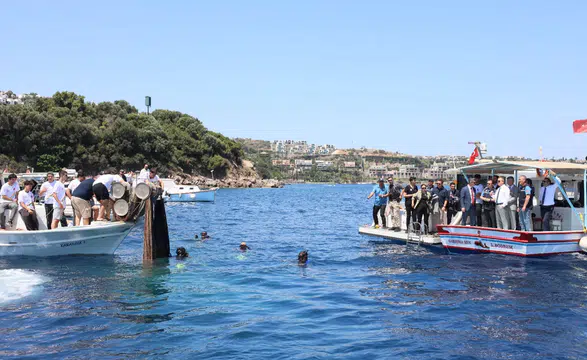 Denizler İçin Seferberlik: Muğla’da 25 Bin Yavru Levrek Doğaya Bırakıldı
