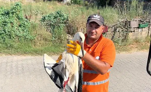 Görevi Başındayken Fark Etti, Yaralı Leyleğin Hayatını Kurtardı