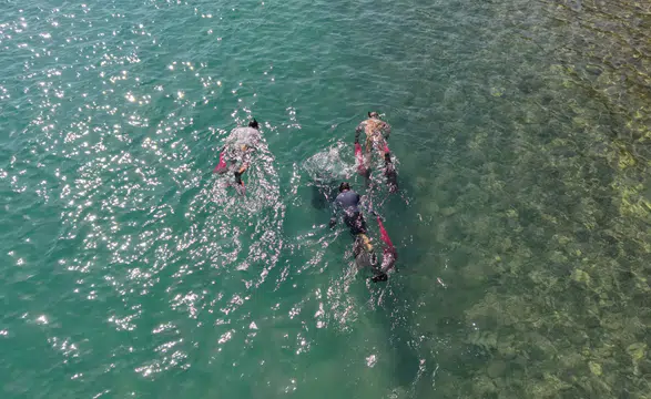 Bodrum’da Deniz Dibi Temizliği Sürüyor: Sıradaki Durak Torba