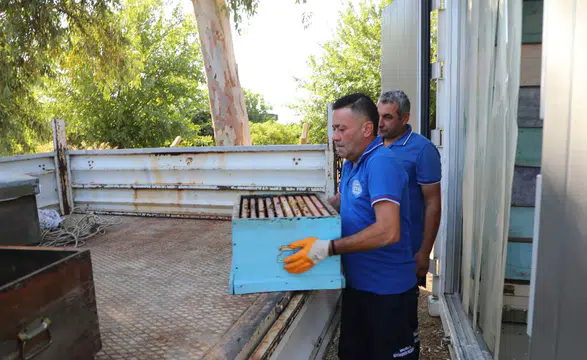 Muğla’da Arıcılık İçin Seferberlik! Türkiye’de Eşi Yok