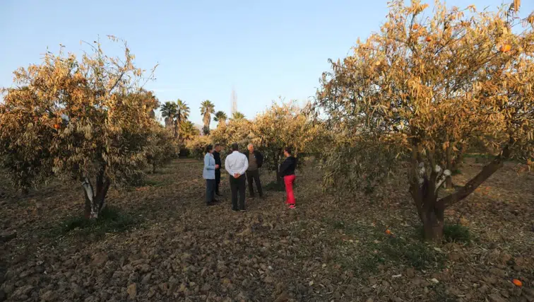 MUPA’dan Çarpıcı Rapor: Muğla’da Her 4 Çiftçiden Biri Mesleği Bırakmayı Düşünüyor