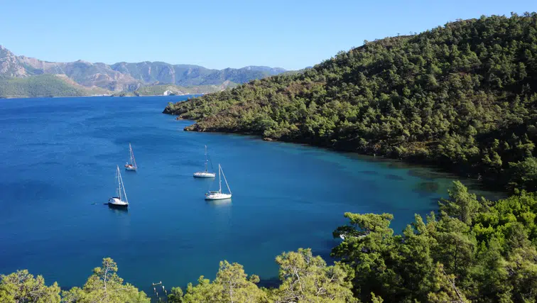 Marmaris Finale Kaldı: Sürdürülebilir Turizmde Uluslararası Takdir