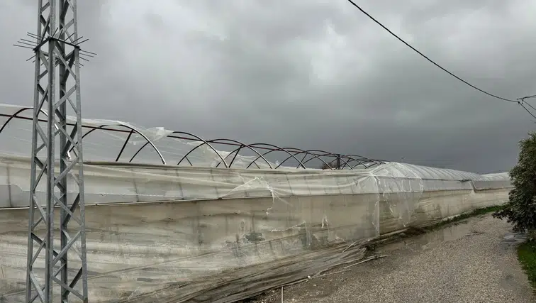 Kumluova’daki Hortum Seraları Vurdu, Büyükşehir Sahada