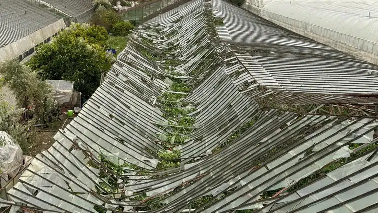 Seydikemer’de Hortum Felaketi: Başkan Aras “Üreticimizin Yanındayız”