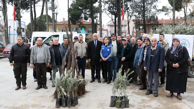 Büyükşehir’den Ula’da Üreticiye Zeytin ve Ceviz Fidanı