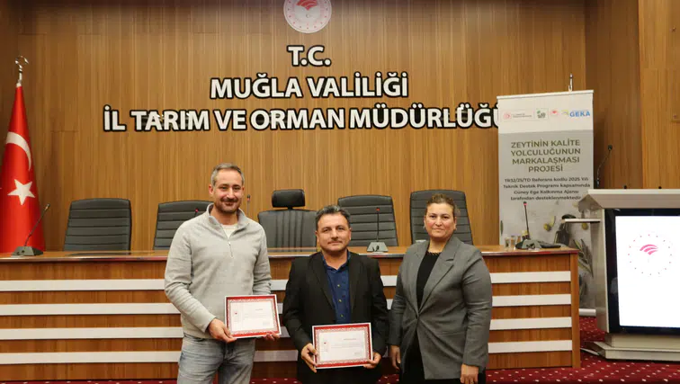 86 Başvurudan 184’e! Muğla Zeytinyağında Rekor Katılım ve Kalite Yarışı