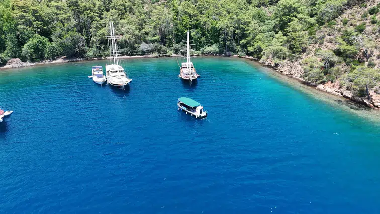 Kıyılar Ranta Açılmadı: Büyükşehir’in Davasında Danıştay’dan Yürütmeyi Durdurma